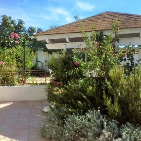 Appartement 3 Chambres Proche Mer Entre Palavas Les Flots Et Frontignan Plage Dans Maison Avec Jardin ヴィルヌーヴ・レ・マグローヌ エクステリア 写真