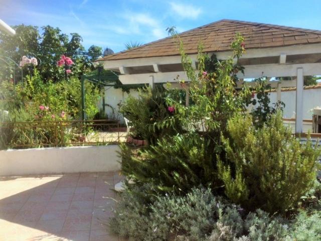 Appartement 3 Chambres Proche Mer Entre Palavas Les Flots Et Frontignan Plage Dans Maison Avec Jardin ヴィルヌーヴ・レ・マグローヌ エクステリア 写真